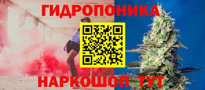 ПСИЛОЦИБИНОВЫЕ ГРИБЫ Сланцы